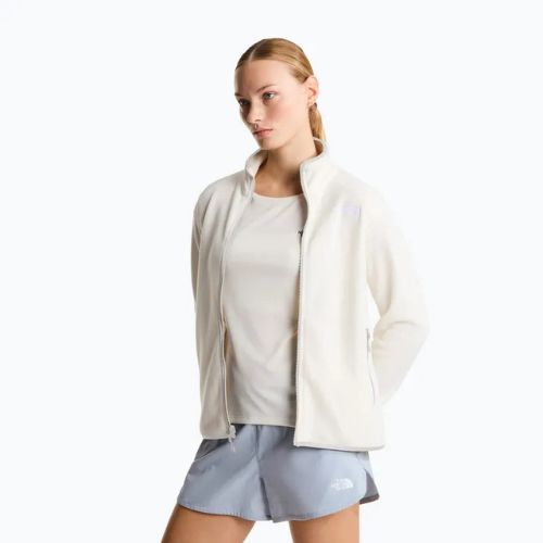 Fleece Hoodie Sweatshirt Damen The North Face Glacier Fleece white dune