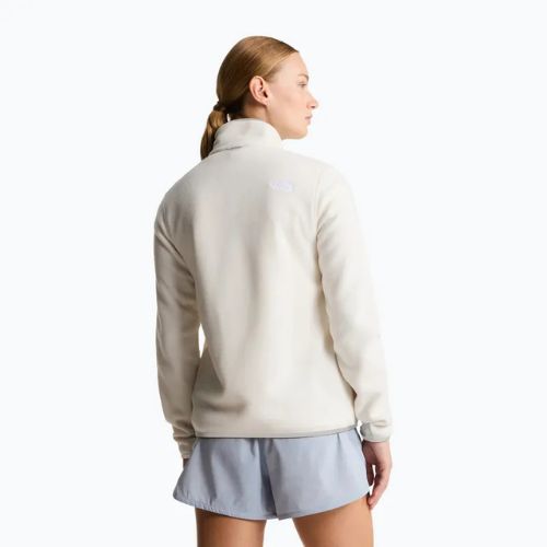 Fleece Hoodie Sweatshirt Damen The North Face Glacier Fleece white dune
