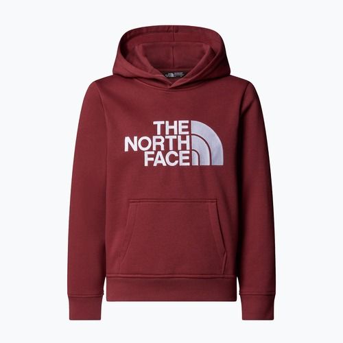Hoodie Sweatshirt Kinder The North Face Teen Drew Peak Pullover Hoodie sumac