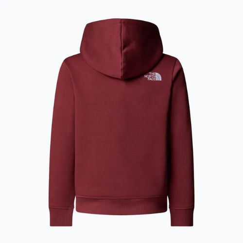 Hoodie Sweatshirt Kinder The North Face Teen Drew Peak Pullover Hoodie sumac