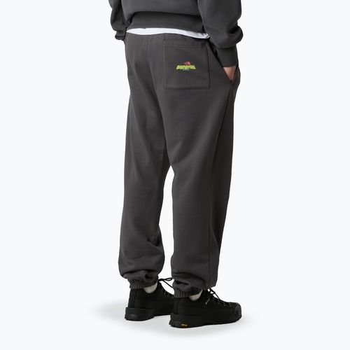 Hose Herren The North Face Expedition Celebration Relaxed Jogger Reg anthracite grey