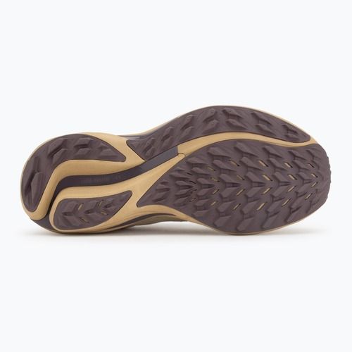 Damen-Laufschuhe Mizuno Wave Rider TT 3 Curds & Whey/Summer Sand/Moonscape