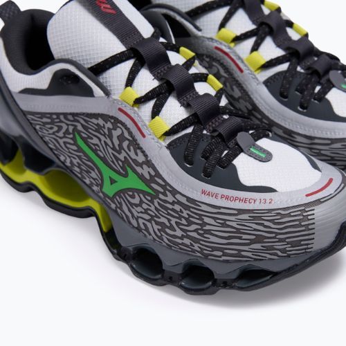 Schuhe Mizuno Wave Prophecy 13.2 quiet shade/vibrant green