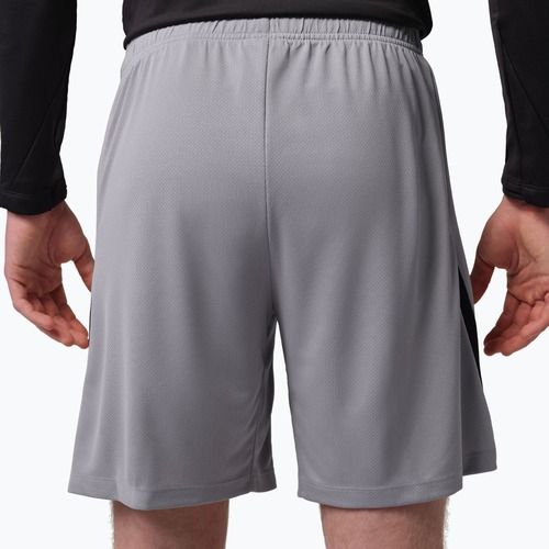 Herren Fußballshorts Nike Paris Saint-Germain Strike SE atmosphere grey/black/black