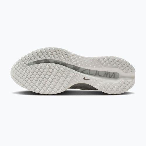 Damen-Laufschuhe Nike Pegasus Premium ESS summit white/pure platinum/white