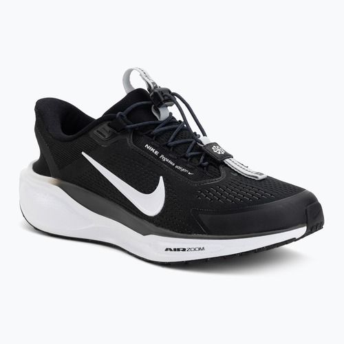 Herren-Laufschuhe Nike Pegasus EasyOn schwarz/anthrazit/photon dust/weiß