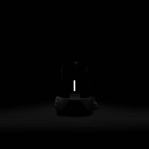 Herren-Laufschuhe Nike Pegasus Plus black/anthracite/white/pure platinum