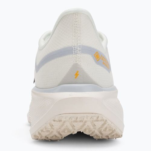 Herren-Laufschuhe Nike Pegasus 41 GTX sail/football grey/sundial/ashen slate