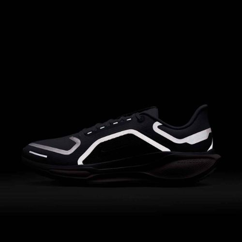 Herren-Laufschuhe Nike Pegasus 41 GTX light pumice/pure platinum/silt red/metal silver