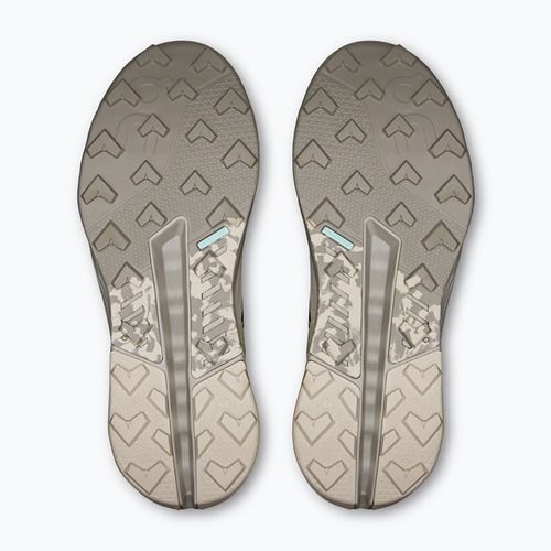 Herren-Trekkingschuhe On Running Cloudhorizon 2 pearl/fog