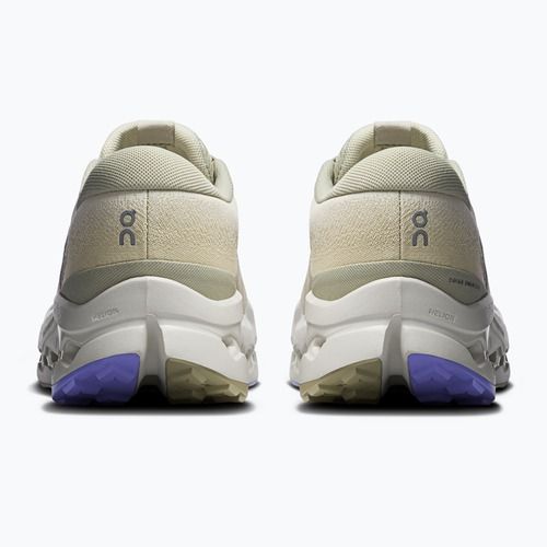 Herren-Laufschuhe On Cloudsurfer Trail 2 Waterproof ghost/chalk
