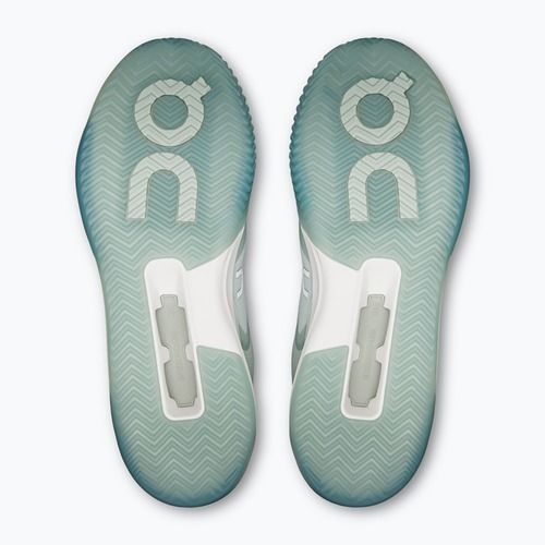 Herren-Tennisschuhe On Running The Roger Advantage Pro Clay mineral/linen