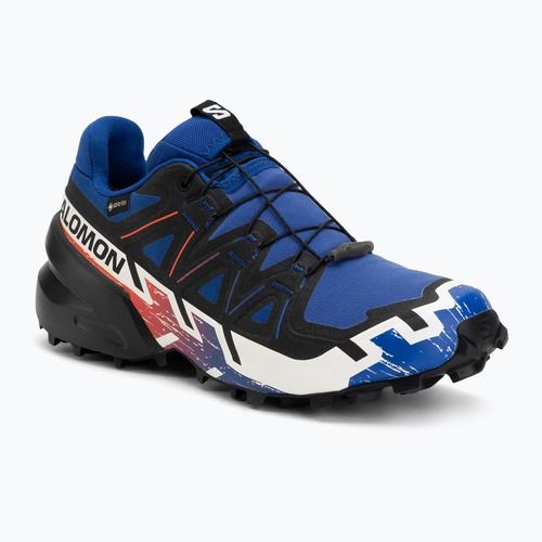 Laufschuhe Salomon Speedcross 6 GTX surf the web/fiery red/white