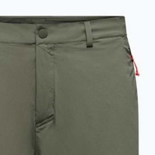 Herren-Trekking-Shorts Salewa Puez Talveno DST faded green