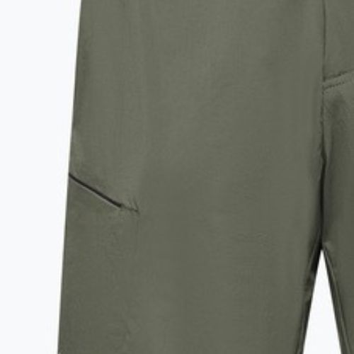 Herren-Trekking-Shorts Salewa Pedroc 4 DST Cargo faded green