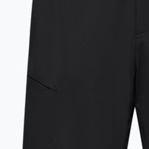 Herren-Trekking-Shorts Salewa Pedroc 4 DST Cargo black out