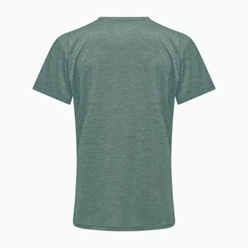 Herren-Trekking-T-Shirt Salewa Puez Melange Dry willow melange