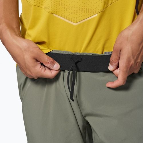 Herren-Trekkinghose Salewa Pedroc 3 DST Light faded green