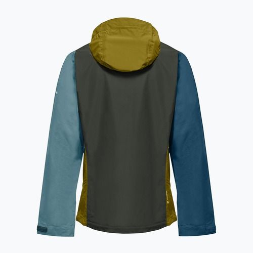 Herren-Regenjacke Salewa Puez Aqua 4 PTX 2.5L olive oil/multi
