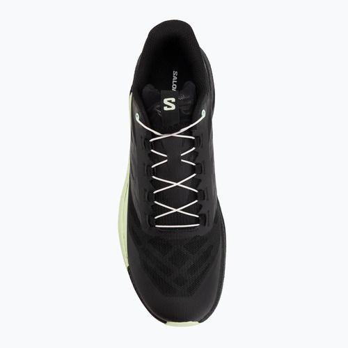 Herren-Laufschuhe Salomon Pulsar black/black/patina green