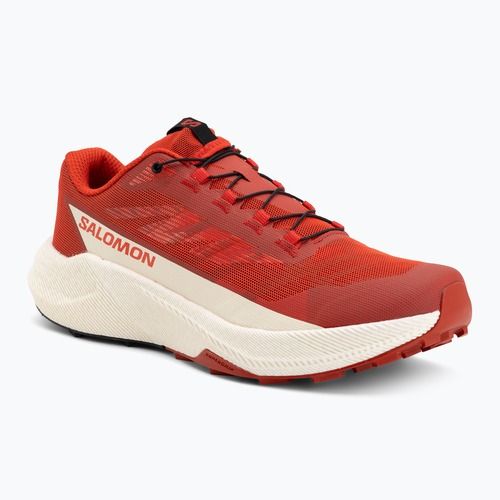 Herren-Laufschuhe Salomon Pulsar fiery red/vanilla ice/black