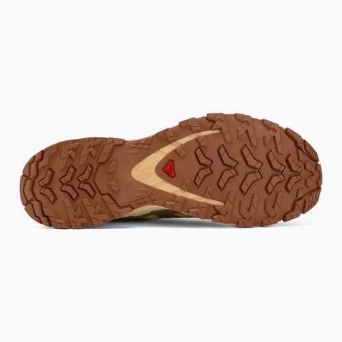Damen-Laufschuhe Salomon XA Pro 3D V9 endive/burro/almond cream