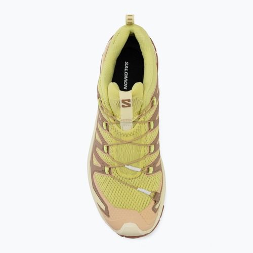 Damen-Laufschuhe Salomon XA Pro 3D V9 endive/burro/almond cream