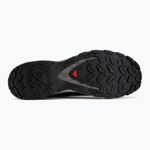 Laufschuhe für Herren Salomon XA Pro 3D V9 black/dark gull gray/acid lime