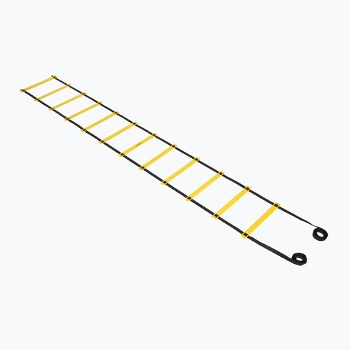 Koordinationsleiter OneTeam S-AG LADDER 6M yellow