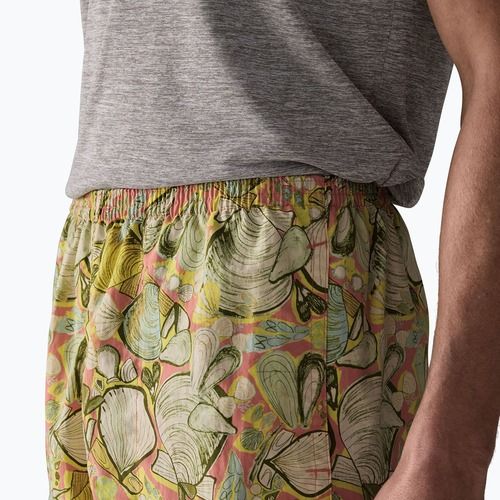 Herrenshorts Patagonia Baggies 5" shelly shelly/mellow melon