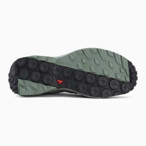 Wanderschuhe Damen  Salomon Terramphibian sea foam/green