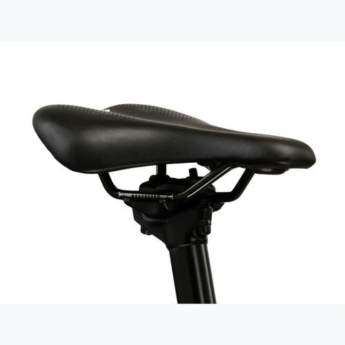 Kinderfahrrad KROSS Liftie 20 pink/graphite/matte