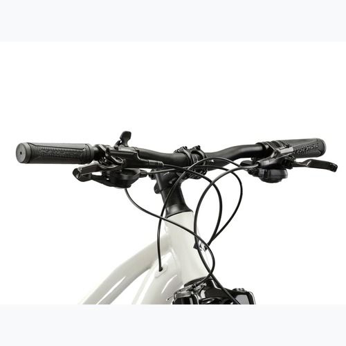 Damen-Mountainbike KROSS Lea 5.0 29" grey/navy blue/gloss