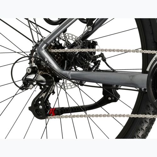 Mountainbike KROSS Hexagon 2.0 EQ 29" Grau/Dunkelgrau/Glanz