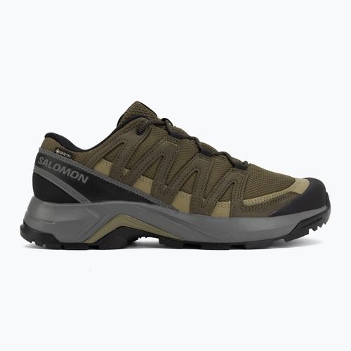 Trekkingschuhe Herren Salomon X-Adventure Recon Waterproof olvnig/martini