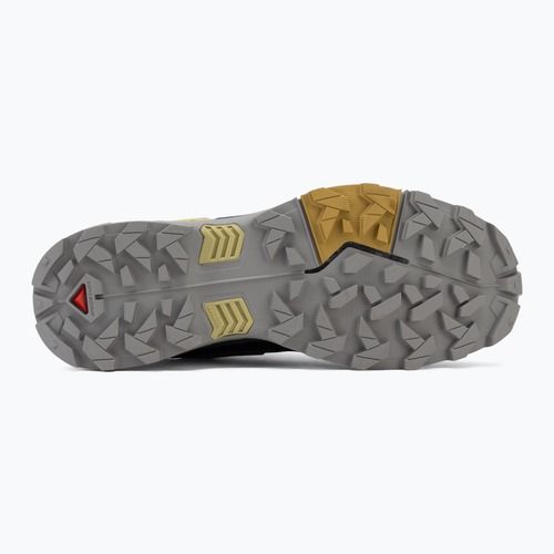 Trekkingschuhe Herren Salomon X Ultra 5 cloudburst/black/willow