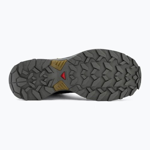 Trekkingschuhe Herren Salomon X Ultra 360 MID GTX urban chic/black