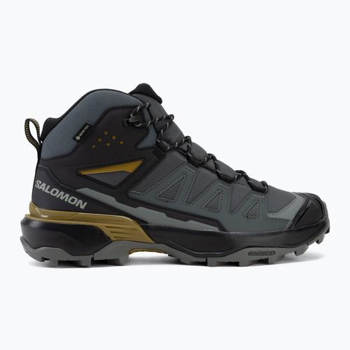 Trekkingschuhe Herren Salomon X Ultra 360 MID GTX urban chic/black