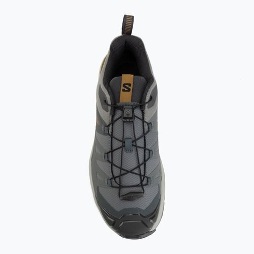 Trekkingschuhe Herren Salomon X Ultra 360 sedona sage/wrought iron