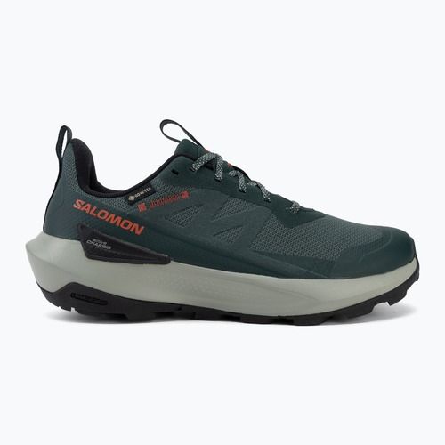 Wanderschuhe Herren Salomon Elixir Activ GTX scarab/green gable
