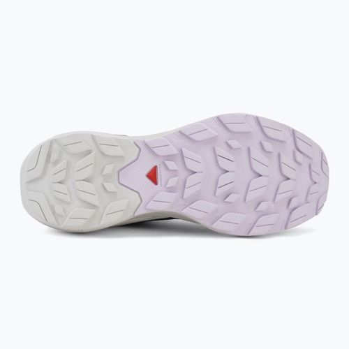 Wanderschuhe Damen Salomon Elixir Activ GTX shskin/glacier gray/opetal