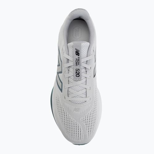 Herren-Laufschuhe  New Balance Fresh Foam 520's V9 grey matter/raincloud/salt water
