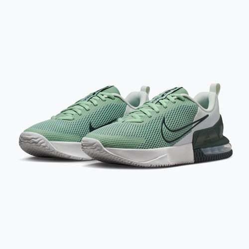 Herren Trainingsschuhe Nike Air Max Alpha Trainer 6 steam/spruce aura/off white/black spruce