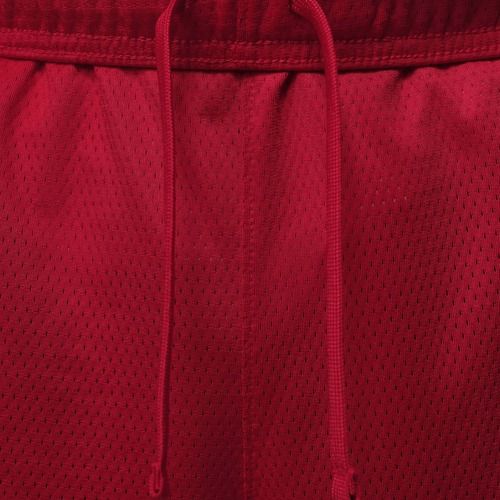 Herren-Shorts  Jordan Sport Essentials Dri-Fit gym red