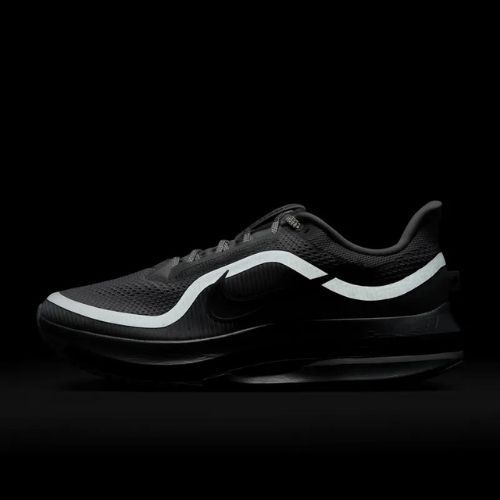 Herren-Laufschuhe Nike Pegasus Premium photon dust/metallic Silver/black
