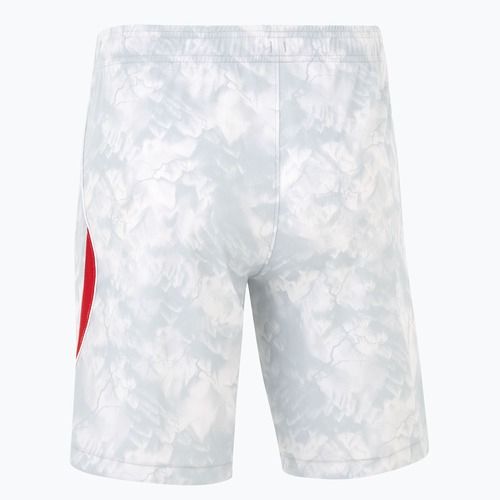 Herren-Fußballshorts Nike Dri-Fit Poland Stadium Home white/field silver