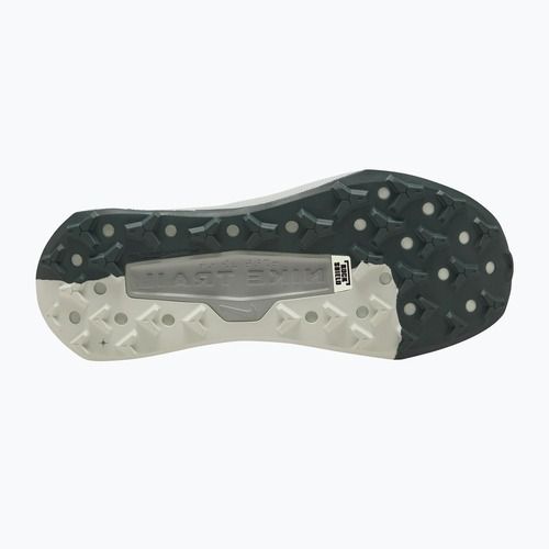 Herren-Laufschuhe Nike Wildhorse 10 spruce fog/sea glass/black spruce