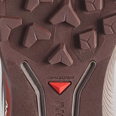 Herren-Laufschuhe Salomon Genesis 2 vanilla ice/iron