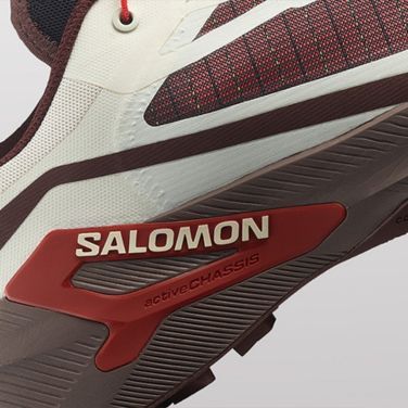 Herren-Laufschuhe Salomon Genesis 2 vanilla ice/iron