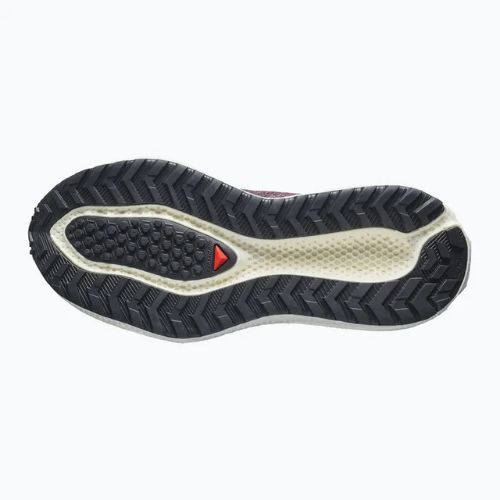 Laufschuhe für Damen Salomon Aero Glide 4 GRVL huckleberry/black